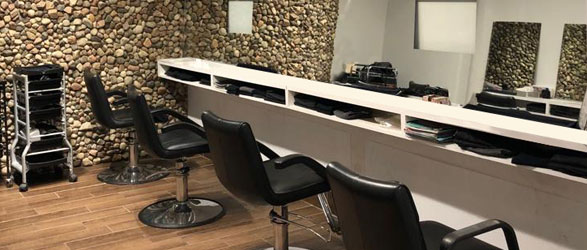 Salon2